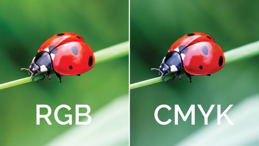 RGM vs CMYK With Ladybugs