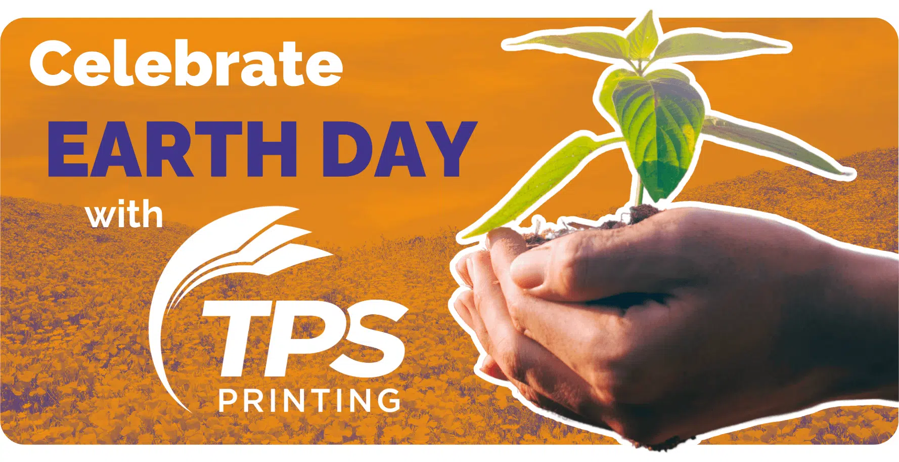 A hand holds out a small baby tree