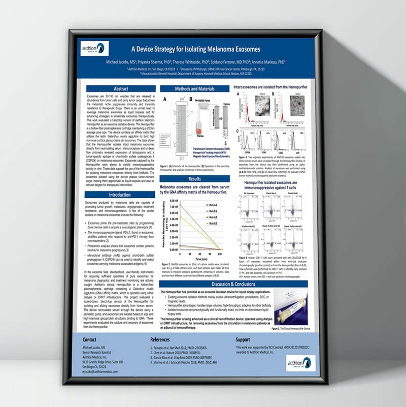 Scientific Poster Example Scientific Poster Example